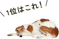1位はこれ！
