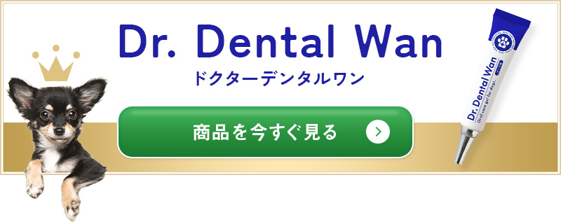 「わんこの健康ごはん」商品を今すぐ見る