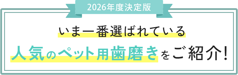 いま一番選ばれている人気のごはんをご紹介！